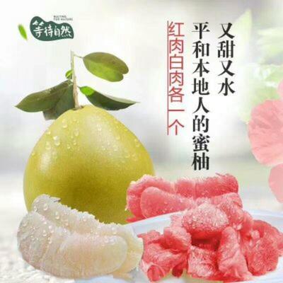 湖北宜昌秭歸縣柚子 沙田柚批發(fā)市場探析，0.60元/斤的價(jià)格優(yōu)勢與品質(zhì)保障