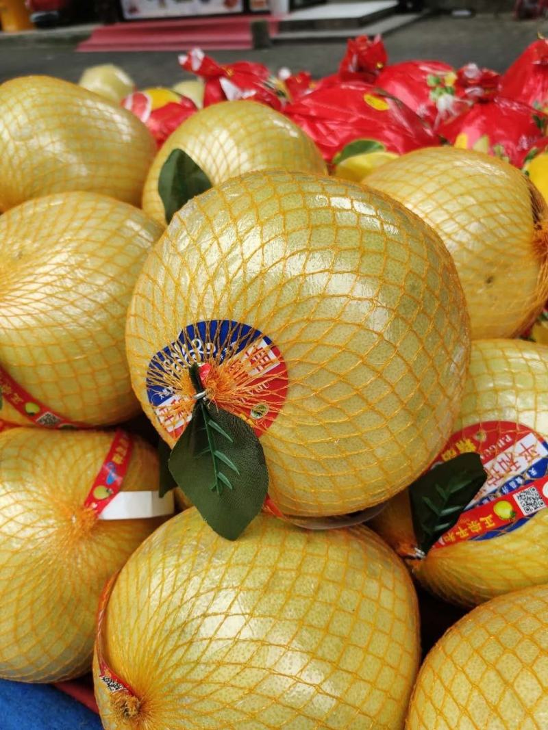 湖北宜昌西陵區(qū)白心蜜柚 產(chǎn)地直供，品質(zhì)優(yōu)價(jià)格美