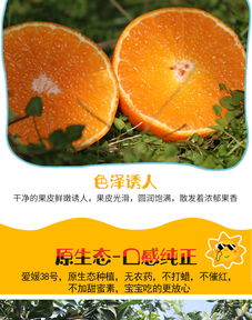 眉山愛媛38號(hào)果凍橙 自然鮮甜，孕媽首選的多規(guī)格柑橘批發(fā)佳品